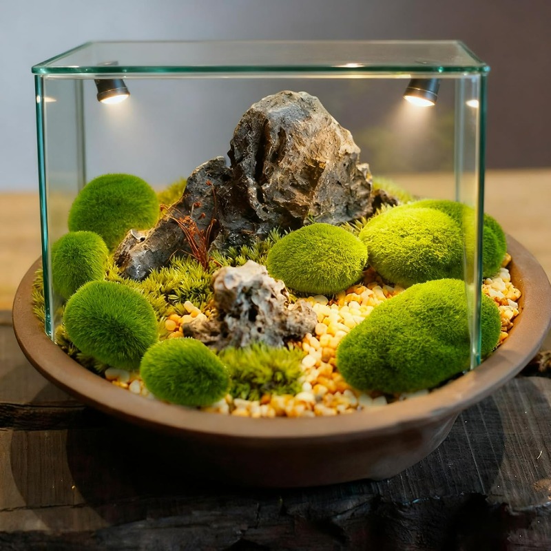 50/5PCS Artificial Foam Moss R - огляд і ціна Terrarium Moss Art